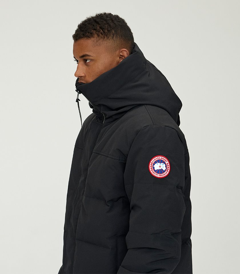 Canada Goose