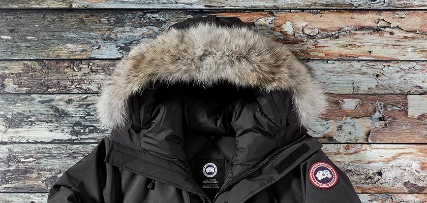 Canada Goose