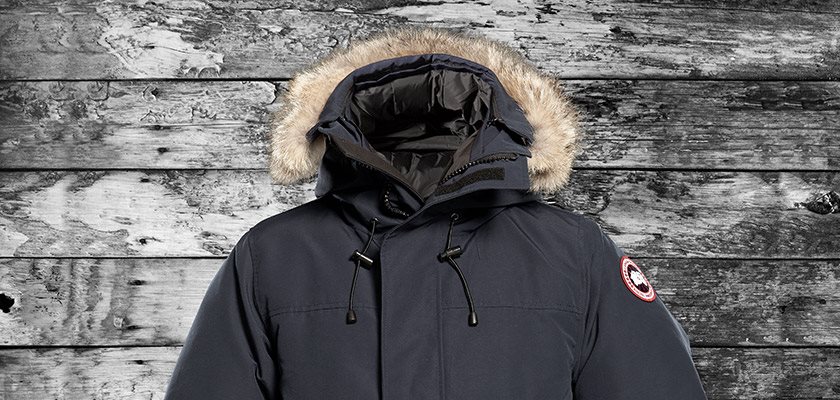 Canada Goose