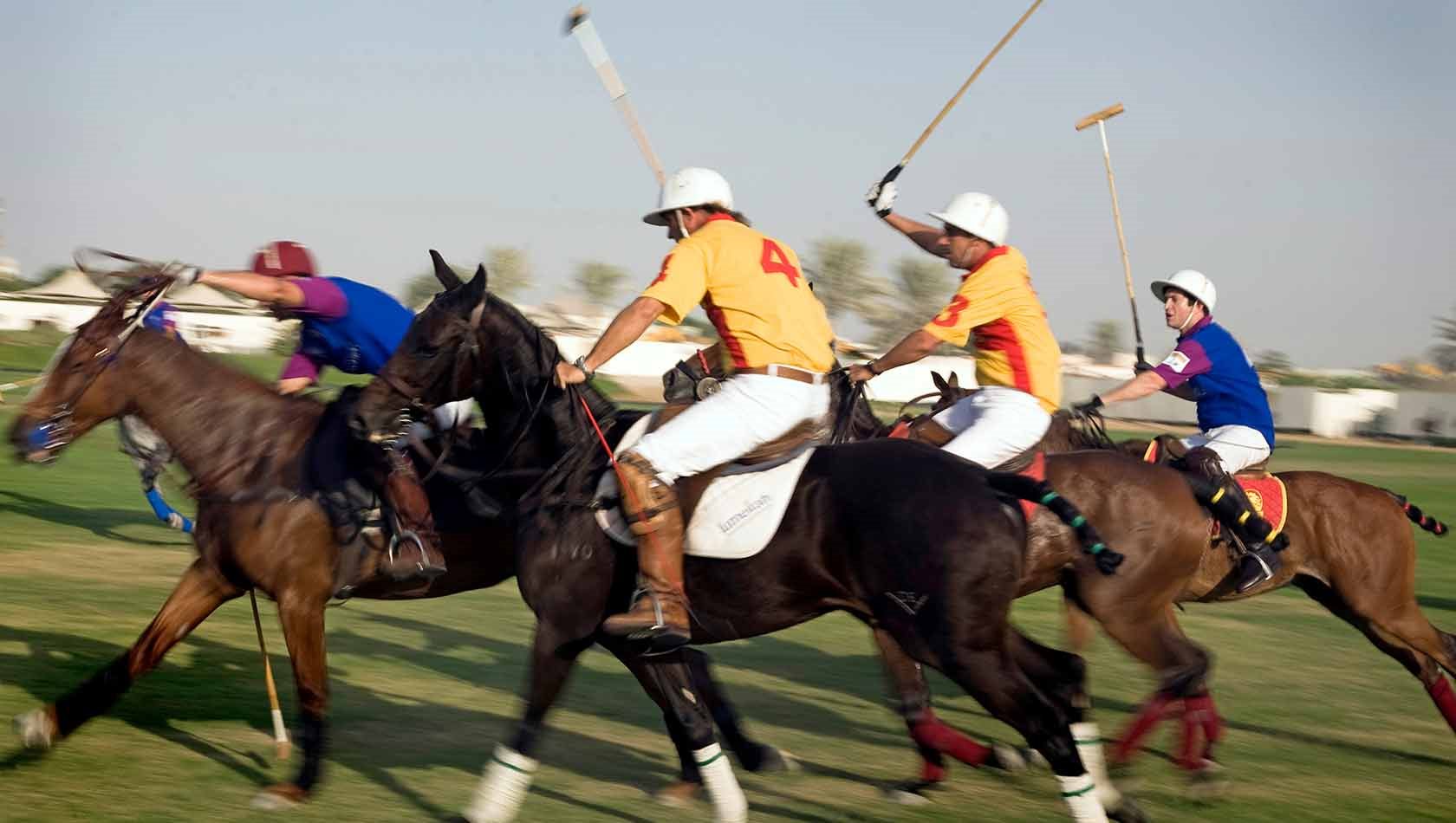 Polo kongernes sport