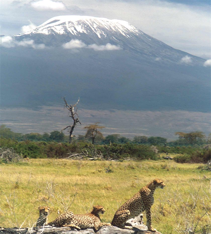 Climbing Kilimanjaro