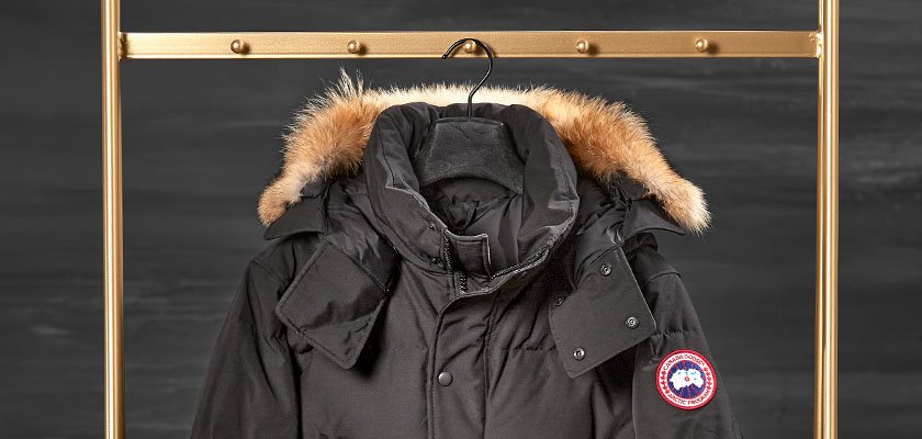 Canada Goose