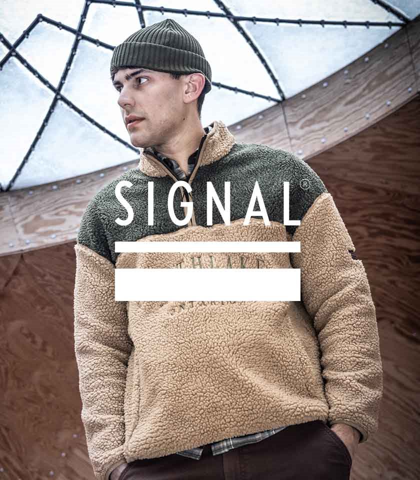 Signal