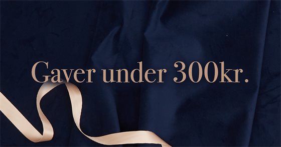 Gaver under 300 kr