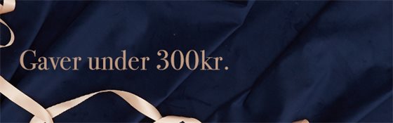 Gaver under 300 kr